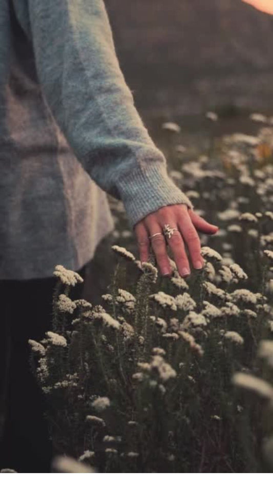 woman in grey sweater brushing her hand against field of white flowers
